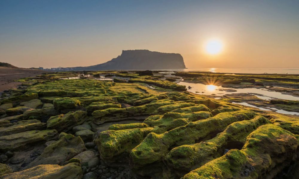 Bình minh trên đỉnh núi Seongsan Ilchulbong