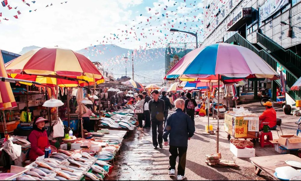 Khám phá Busan - Thành phố cảng năng động và quyến rũ 7 Chợ cá Jagalchi