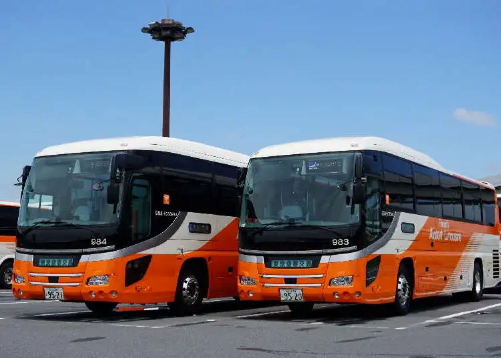 Cách 3: Airport Bus (Tokyo – Narita) – lựa chọn cân bằng giữa giá và sự đơn giản