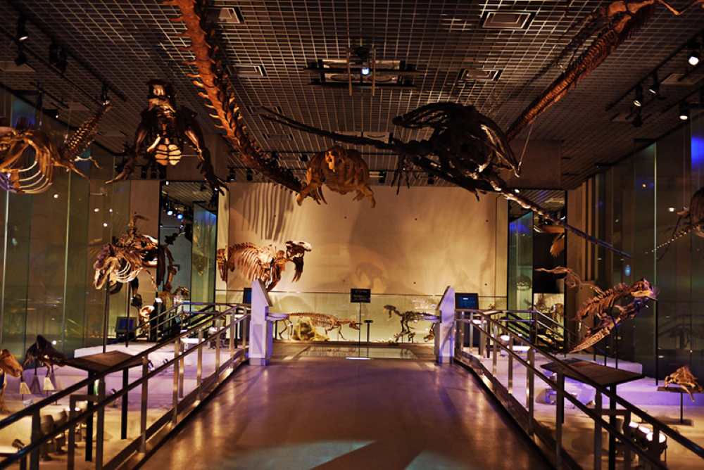 Bảo tàng nổi tiếng ở Nhật Bản: Cẩm nang tham quan từ A–Z cho du khách 13 Bảo tàng Quốc gia Tokyo