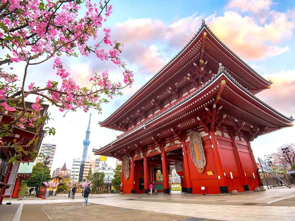 Nhóm các hãng bay quá cảnh đi Nhật Bản