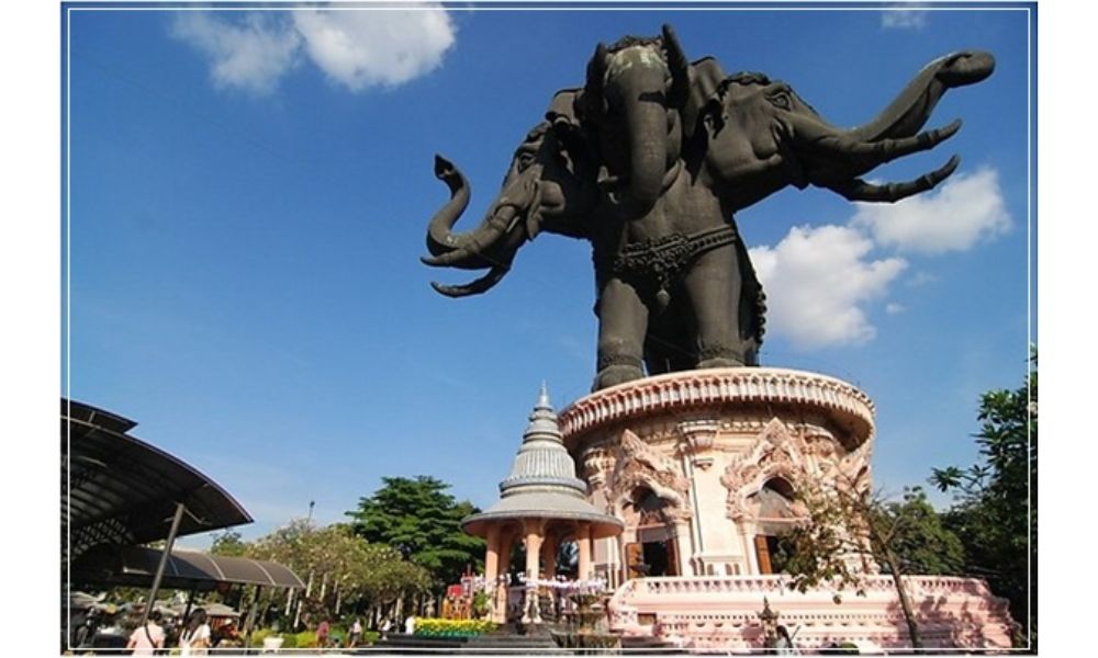 Biểu tượng cho sự nhẫn nại, điềm tĩnh