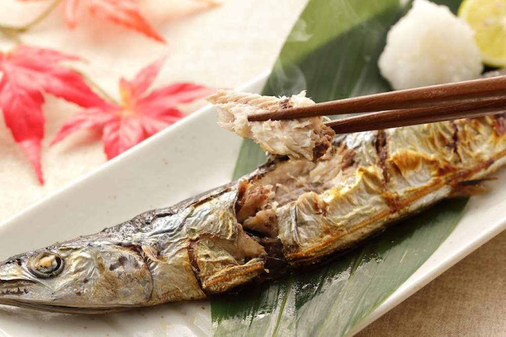 Cá sanma (cá thu đao)