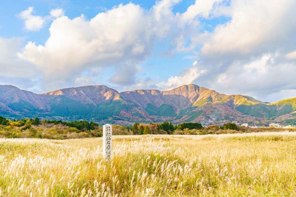 Hakone: cánh đồng cỏ lau Sengokuhara và onsen