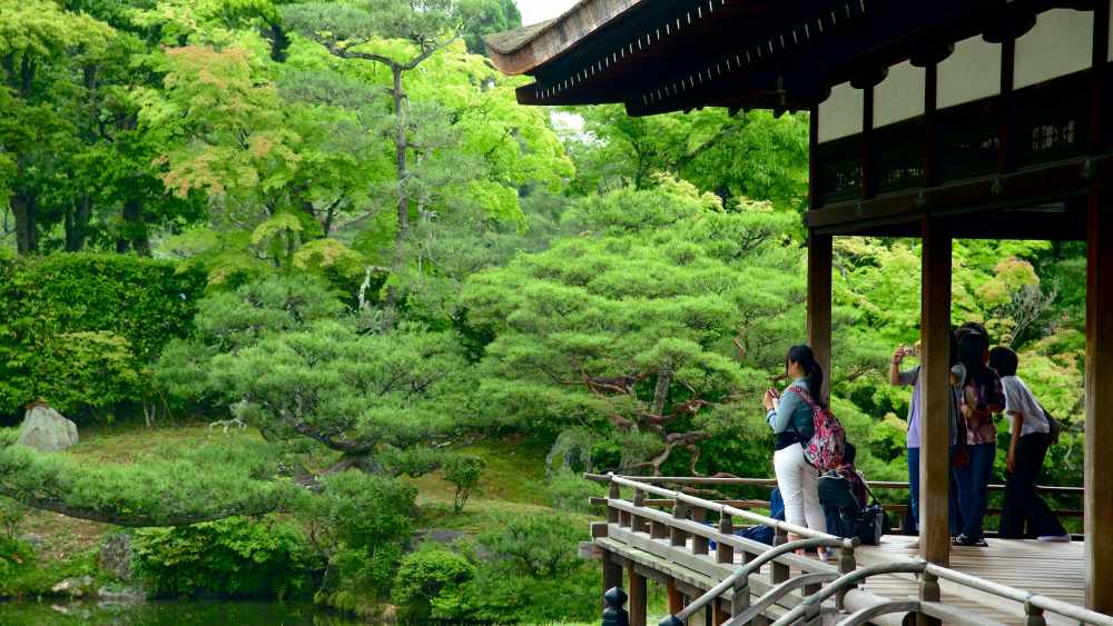 Chùa vàng Kinkakuji ở Kyoto: giá vé, giờ mở cửa và kinh nghiệm tham quan chi tiết 19 Chùa Ninnaji