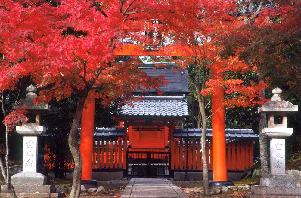 Rừng trúc Arashiyama ở Kyoto: Kinh nghiệm đi thực tế, thời điểm đẹp và lịch trình dễ áp dụng 19 Kết hợp chùa Tenryu-ji: đi thế nào để không bị vội?