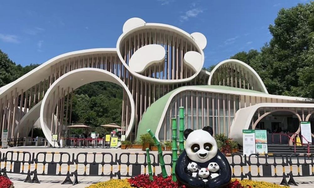 Cơ Sở Nghiên Cứu Gấu Trúc Thành Đô