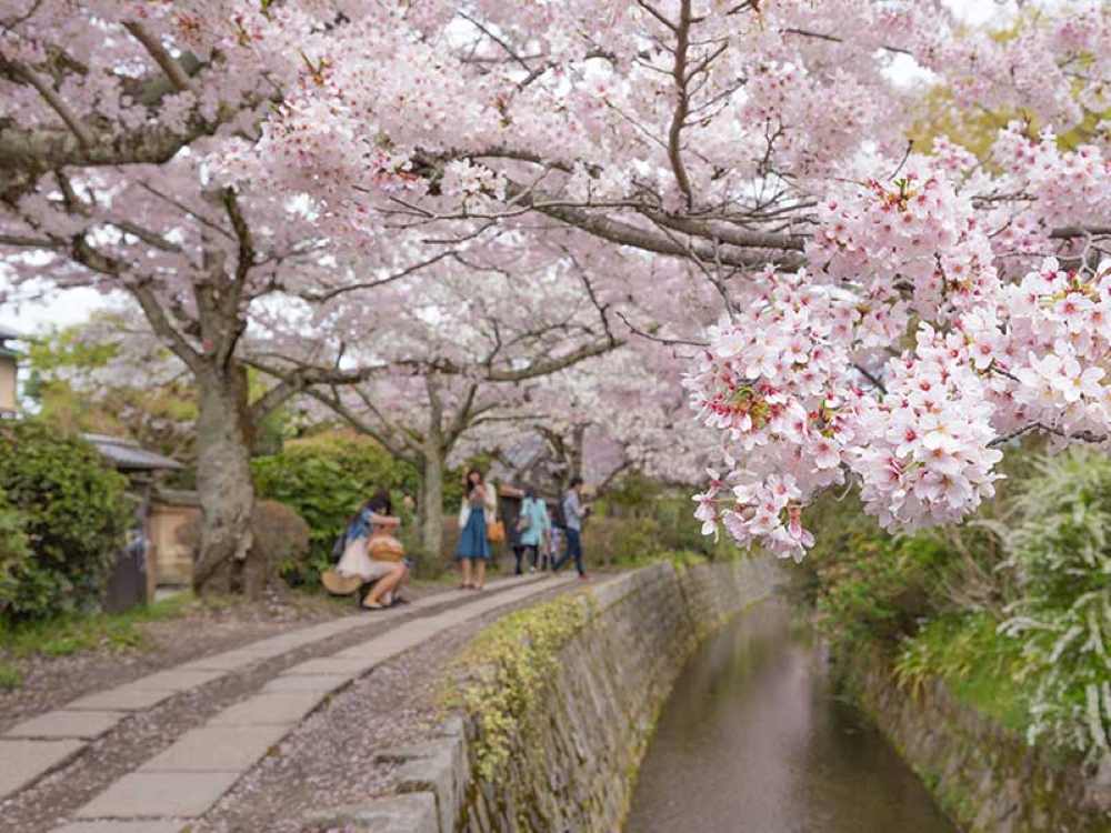 Con đường Triết gia (Tetsugaku-no-michi)