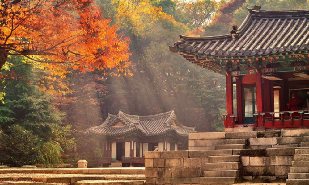 cung điện Gyeongbokgung rực rỡ vào mùa thu
