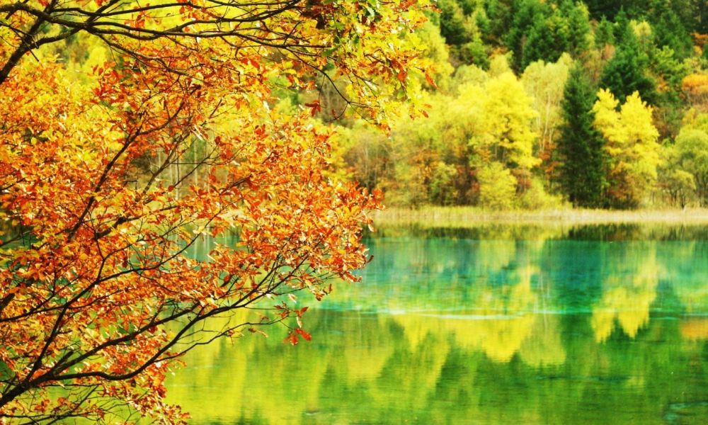 Cửu Trại Câu mùa thu