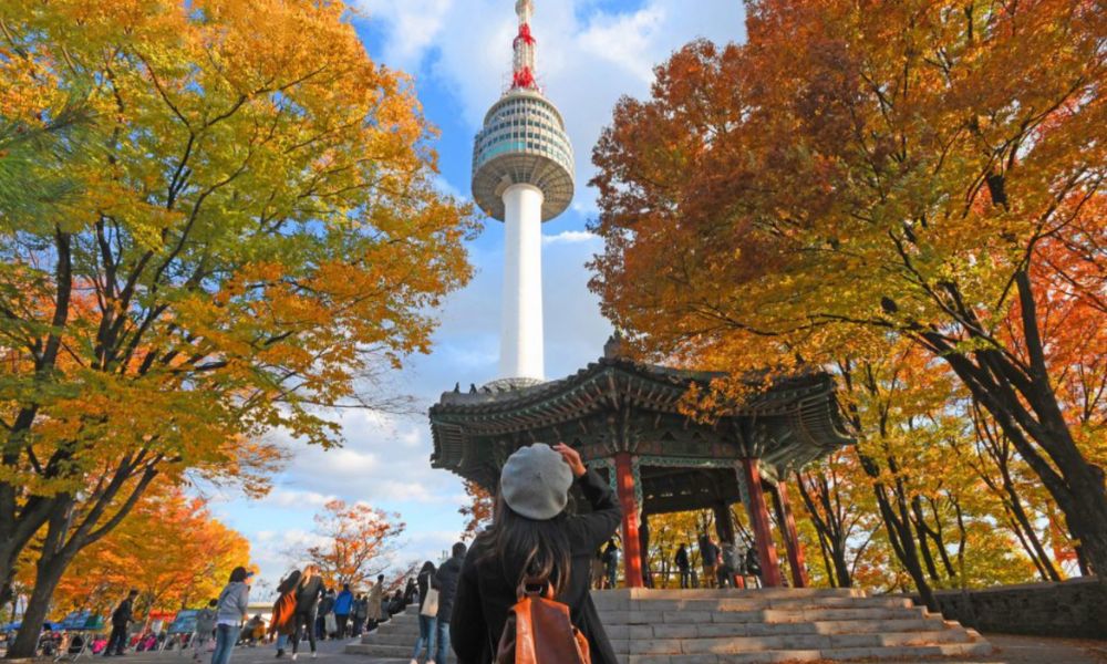 địa điểm ngắm lá vàng mùa thu hàn