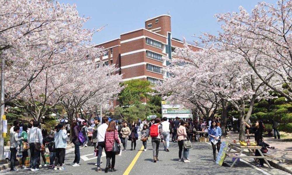 du học hàn quốc