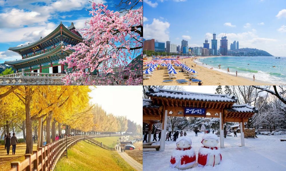 Du lịch Hàn Quốc mùa nào đẹp nhất trong năm? 11 du lịch hàn quốc