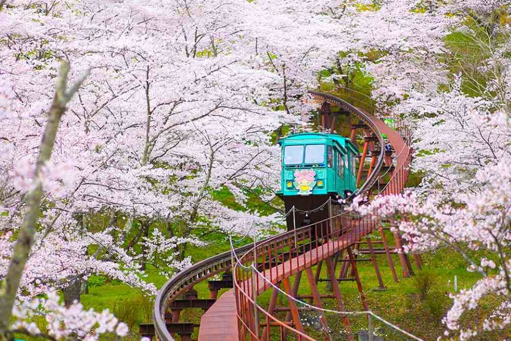 Phương tiện đi lại ở Nhật Bản: Hướng dẫn chi tiết, dễ hiểu cho du khách lần đầu 18 Chuẩn bị kết nối internet cho chuyến đi Nhật Bản