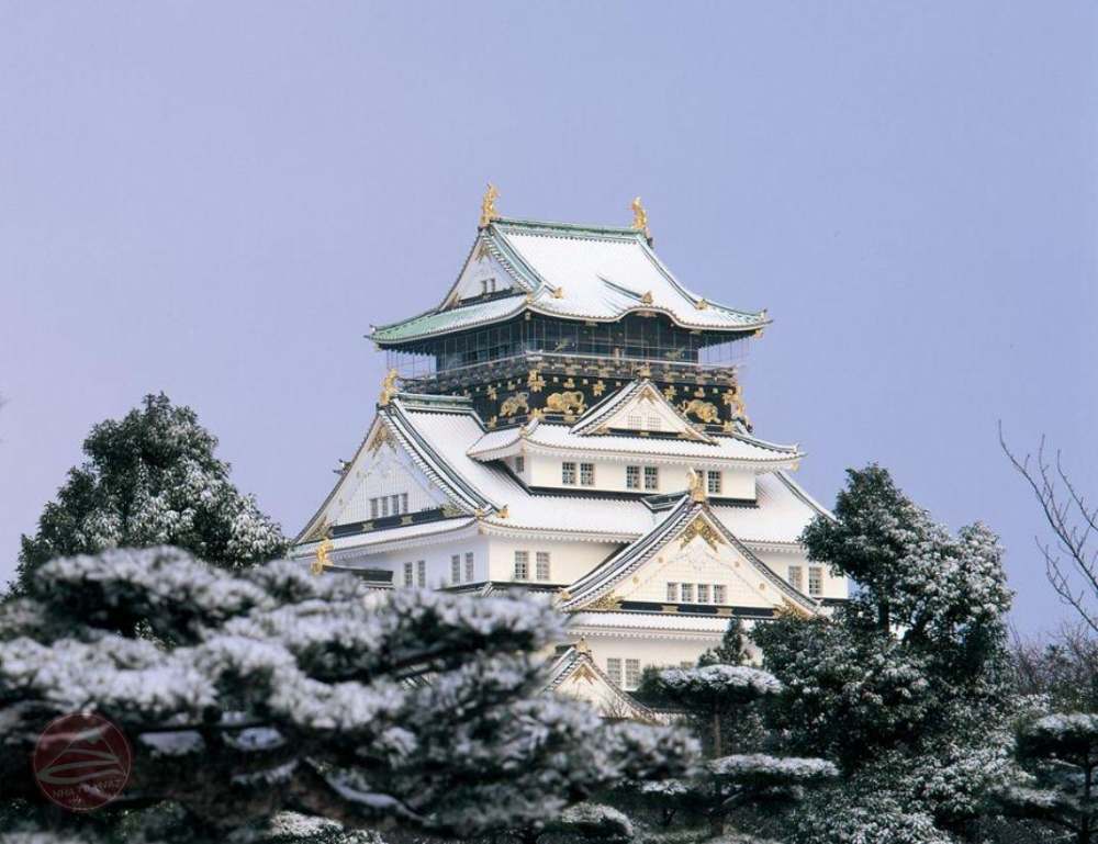 Chuẩn bị kết nối internet cho chuyến đi