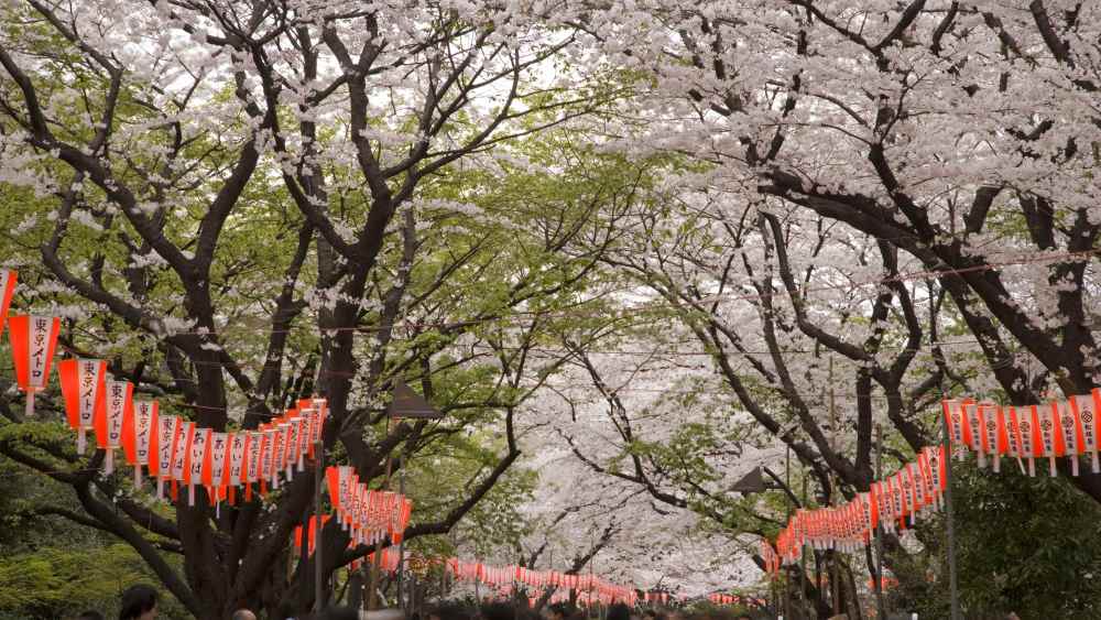 Chuẩn bị kết nối internet cho chuyến đi