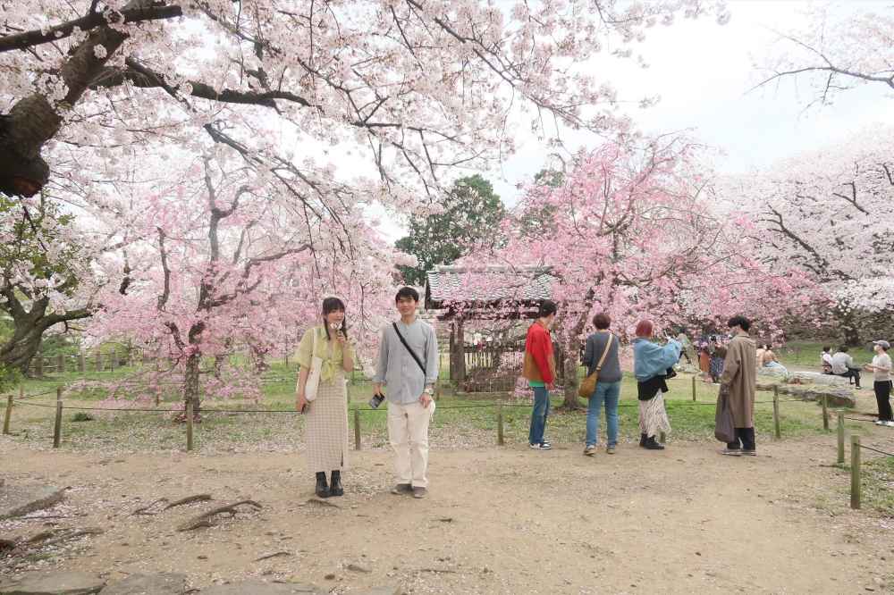 Du lịch Nhật Bản tự túc 2026: Cẩm nang từ A-Z cho người mới (lịch trình, chi phí, ăn ở, di chuyển) 15 Chuẩn bị kết nối internet khi du lịch Nhật Bản