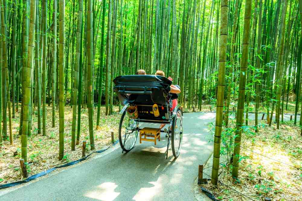 Rừng trúc Arashiyama ở Kyoto: Kinh nghiệm đi thực tế, thời điểm đẹp và lịch trình dễ áp dụng 24 Chuẩn bị kết nối internet cho chuyến đi