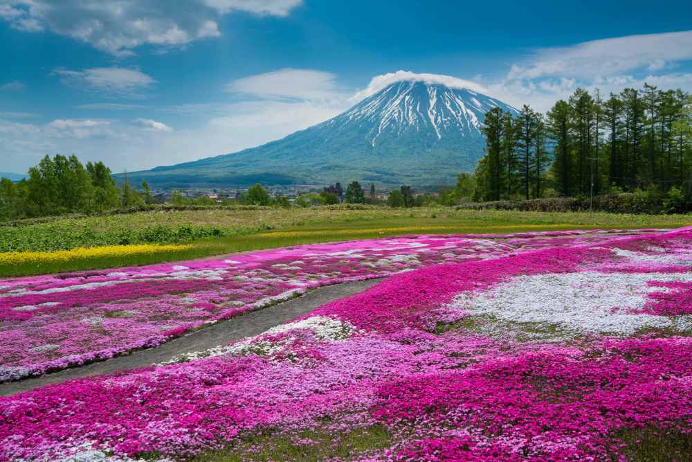 Các hạng ghế máy bay đi Nhật: So sánh chi tiết và kinh nghiệm chọn ghế phù hợp 12 Hạng ghế Thương gia (Business Class) – Trải nghiệm cao cấp trên chuyến bay dài