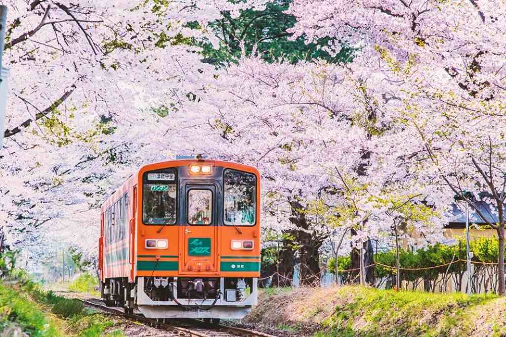 Phương tiện đi lại ở Nhật Bản: Hướng dẫn chi tiết, dễ hiểu cho du khách lần đầu 10 Tổng quan về hệ thống phương tiện đi lại ở Nhật Bản