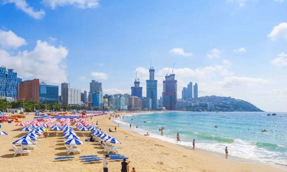 Khám phá Busan - Thành phố cảng năng động và quyến rũ 6 hình ảnh Bãi biển Haeundae