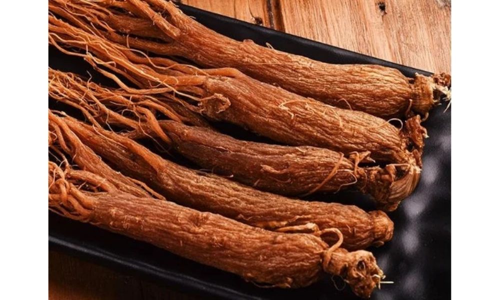 hình ảnh hồng sâm (red ginseng)