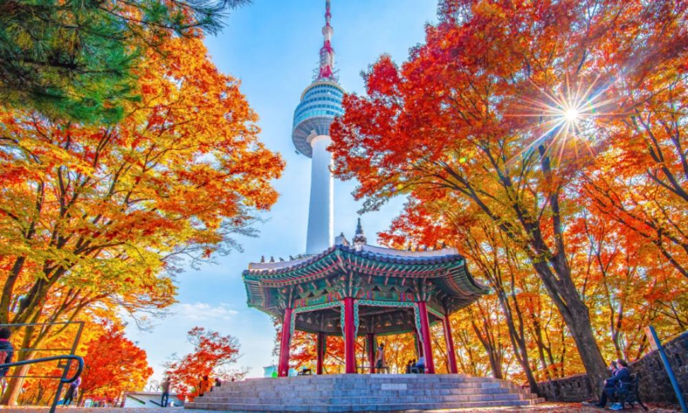 hình ảnh lá vàng đặc trưng vào mùa thu