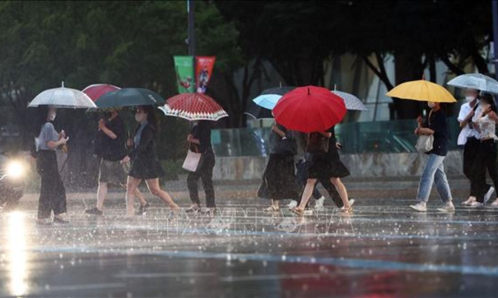 hình ảnh mùa mưa jangma tại hàn quốc