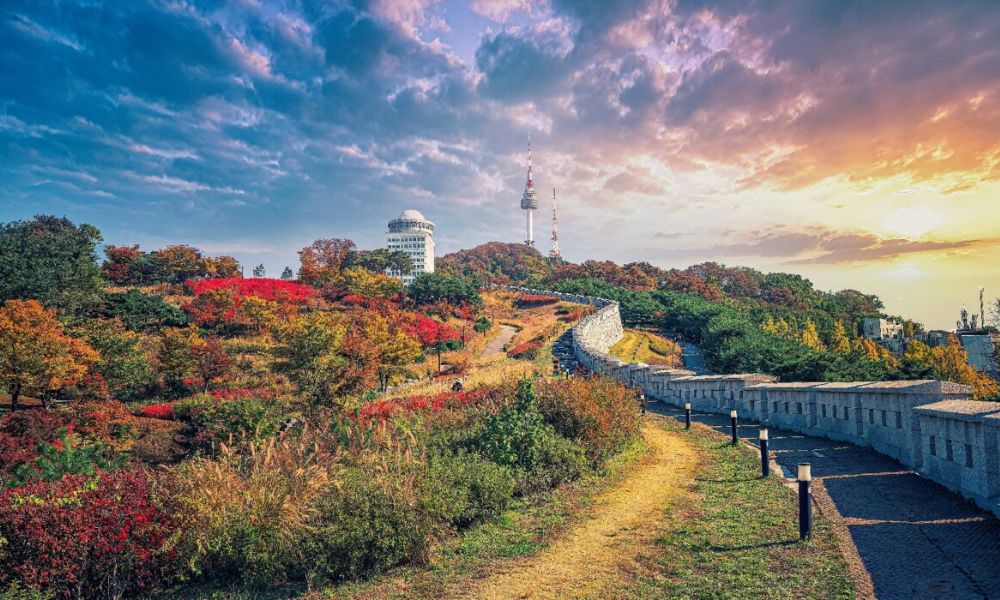 hình ảnh rừng seoul 