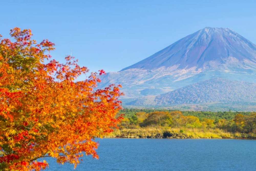 Phú Sĩ Ngũ Hồ: Kinh nghiệm đi tự túc, chọn hồ đẹp nhất và lịch trình gợi ý 20 Hồ Shoji: nhỏ nhất nhưng yên nhất, hợp người muốn tránh đông