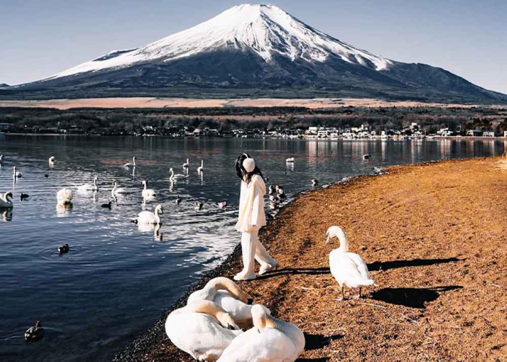 Phú Sĩ Ngũ Hồ: Kinh nghiệm đi tự túc, chọn hồ đẹp nhất và lịch trình gợi ý 19 Hồ Yamanaka: hồ rộng nhất, thoáng nhất, hợp săn Fuji soi bóng