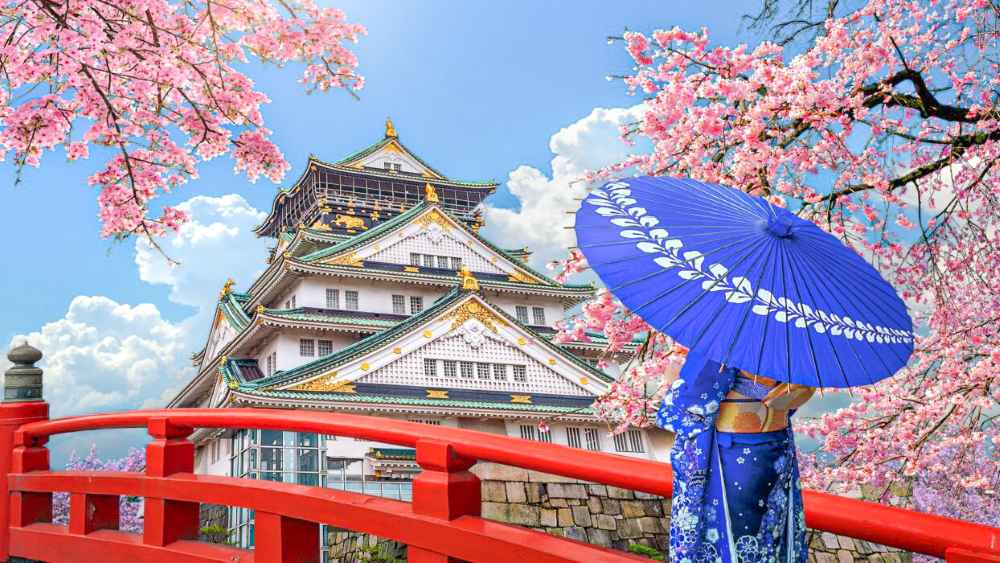 Du lịch Nhật Bản mùa hoa anh đào: Kinh nghiệm đi đúng thời điểm để thấy sakura đẹp nhất 6 Hoa anh đào ở Nhật không chỉ nở một kiểu