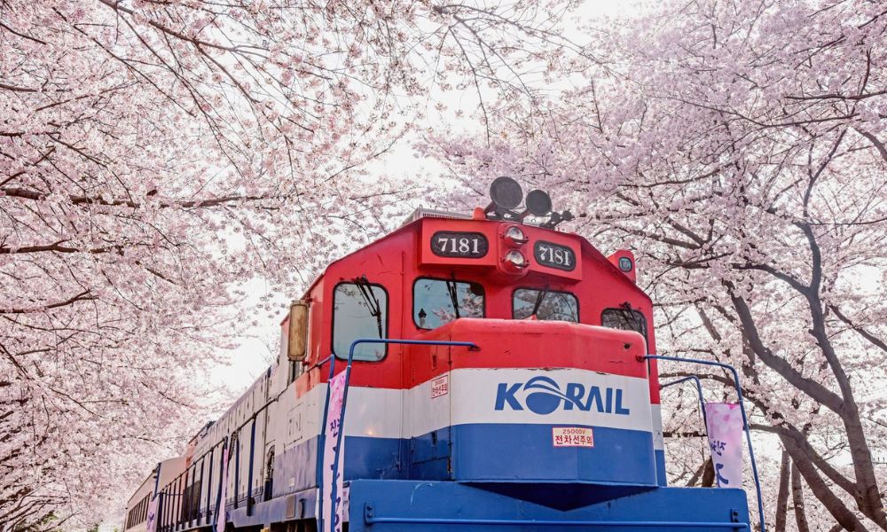 hoạt động ngắm xe lửa vào mùa xuân