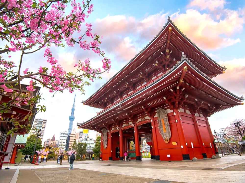 Kinh nghiệm du lịch Nhật Bản 5 ngày tự túc cho người mới