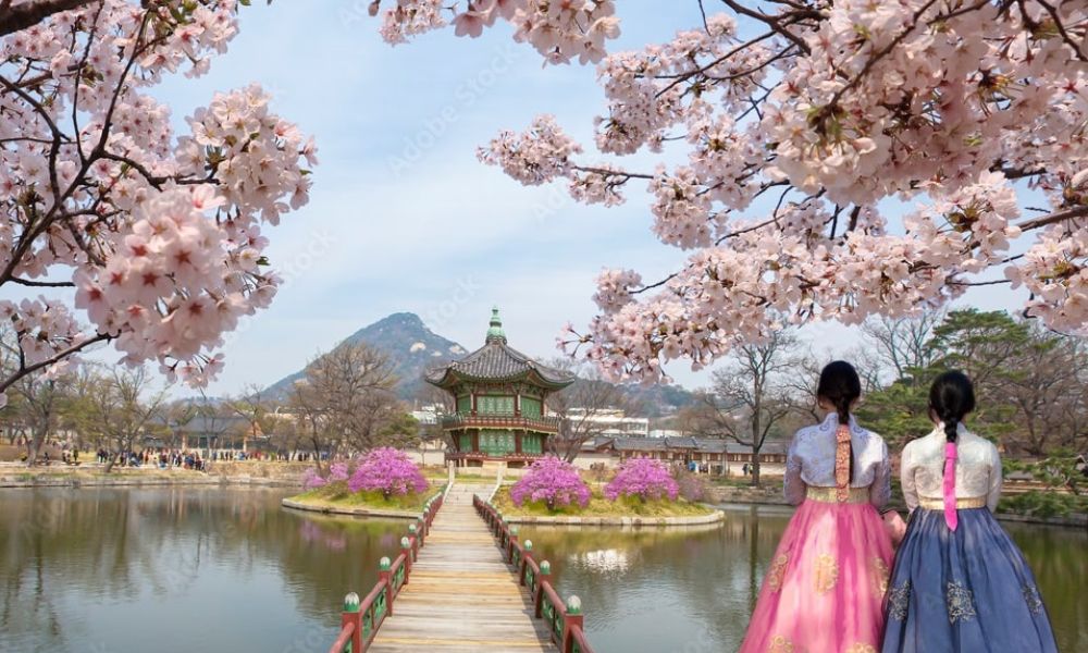 Kinh nghiệm du lịch Hàn Quốc tự túc 2026: Lịch trình & Chi phí 14 kinh nghiệm du lịch hàn quốc