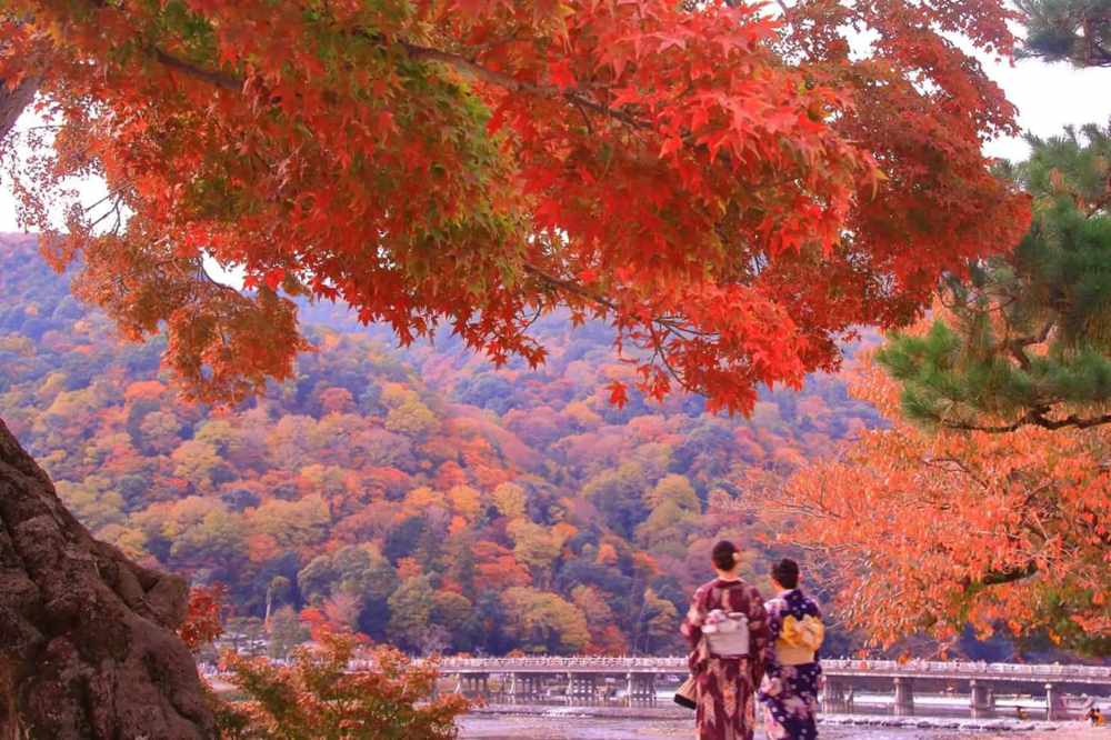 Kinh nghiệm di chuyển khi du lịch Nhật Bản mùa lá đỏ