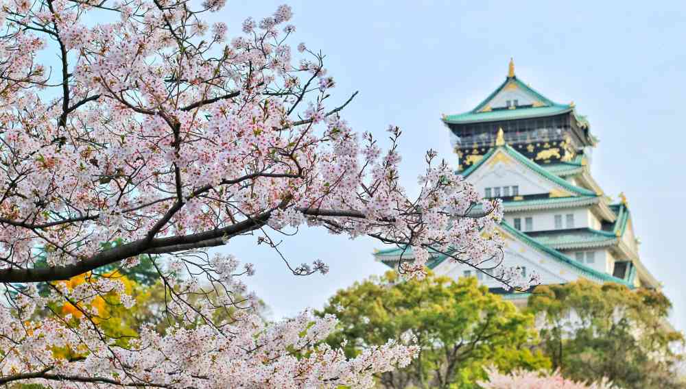 Kinh nghiệm du lịch Nhật Bản 7 ngày tự túc cho người mới