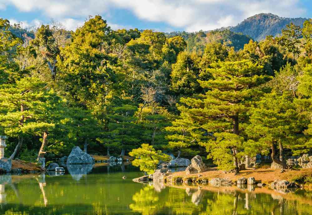 Chùa vàng Kinkakuji ở Kyoto: giá vé, giờ mở cửa và kinh nghiệm tham quan chi tiết 18 Kinh nghiệm tham quan chùa vàng Kinkakuji thực tế