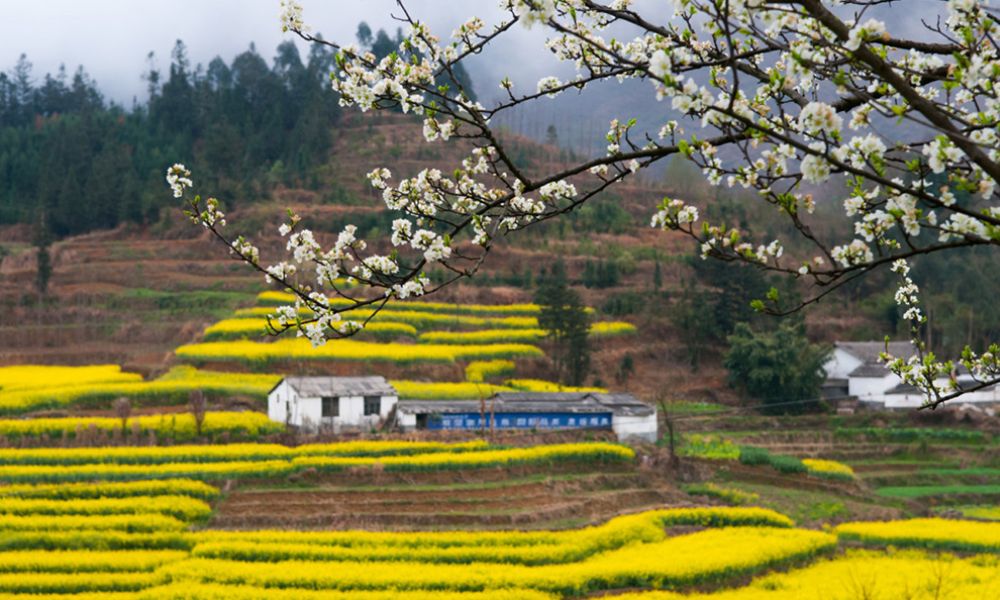 La Bình (Vân Nam) mùa xuân
