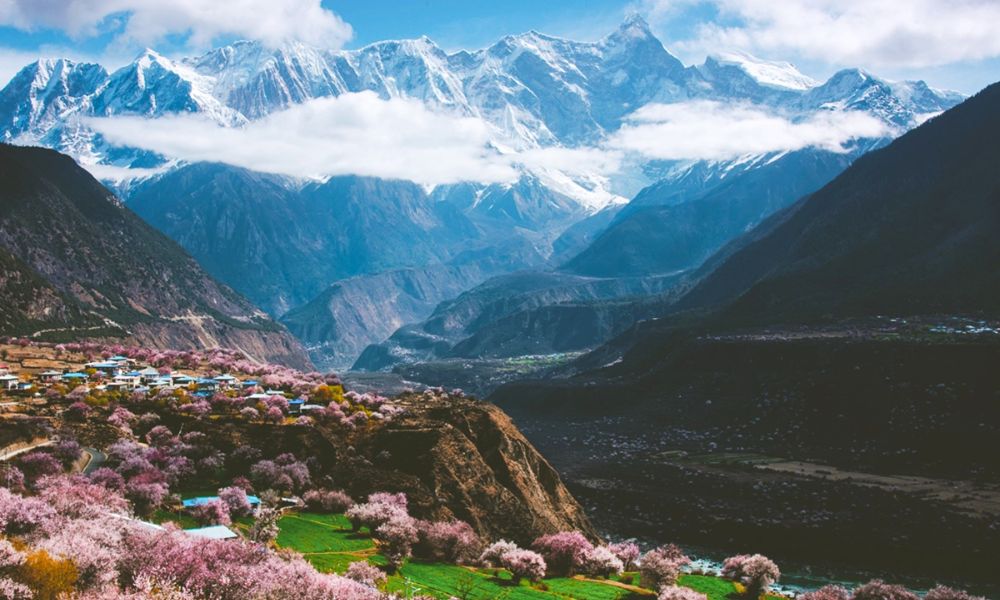 Lâm Chi (Tây Tạng) mùa xuân