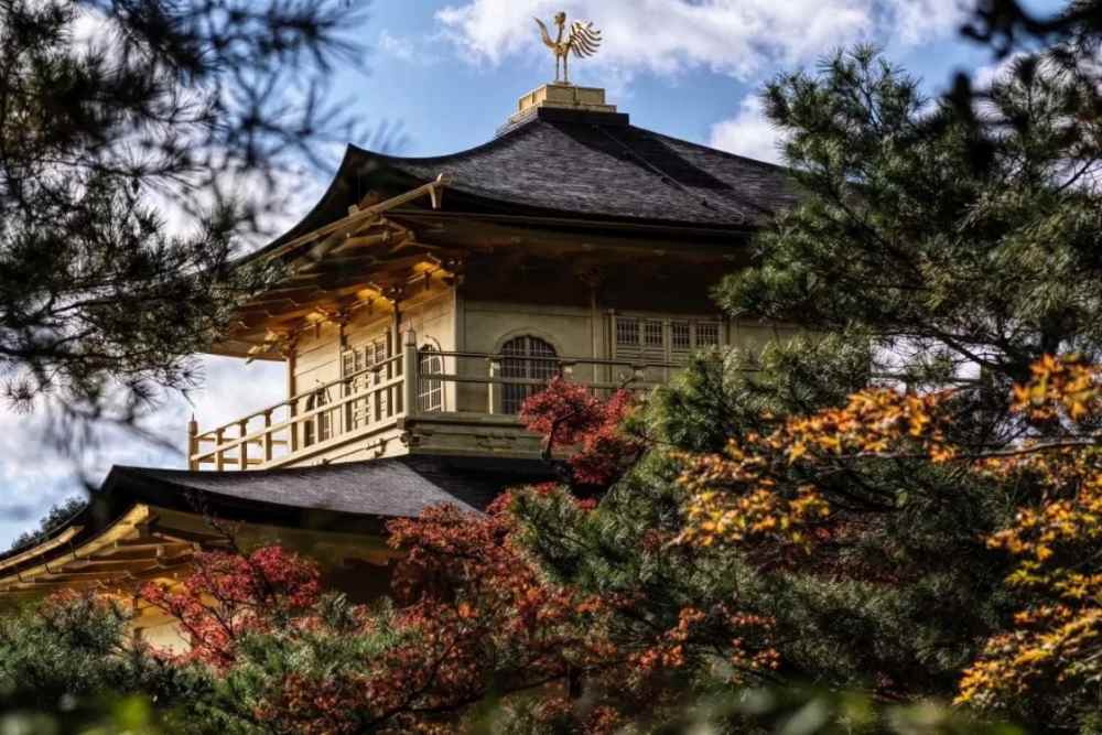 Chùa vàng Kinkakuji ở Kyoto: giá vé, giờ mở cửa và kinh nghiệm tham quan chi tiết 14 Lịch sử chùa vàng Kinkakuji ở Kyoto