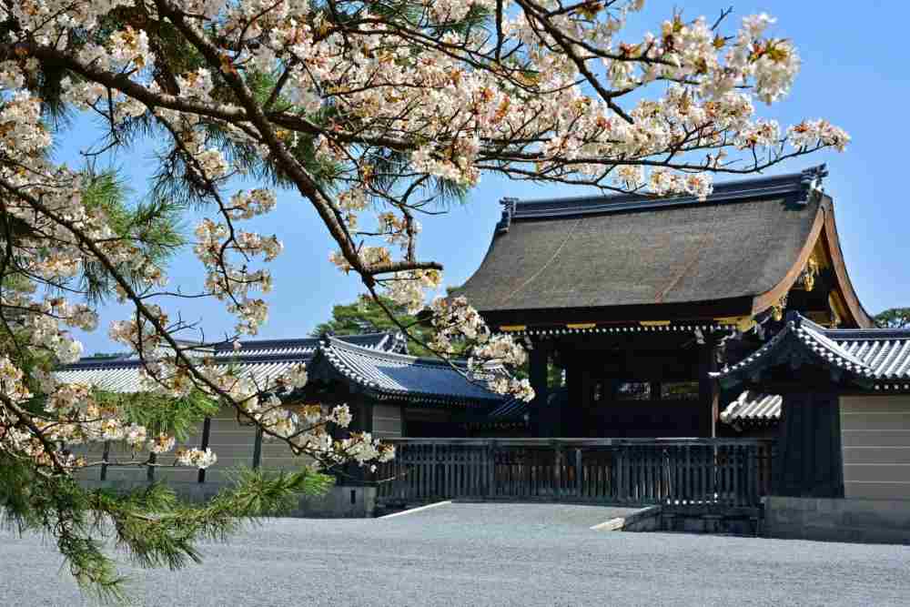 Cung điện Hoàng gia Kyoto là gì? Hướng dẫn tham quan chi tiết từ A đến Z 11 Lịch sử hình thành và vai trò của cung điện Hoàng gia Kyoto