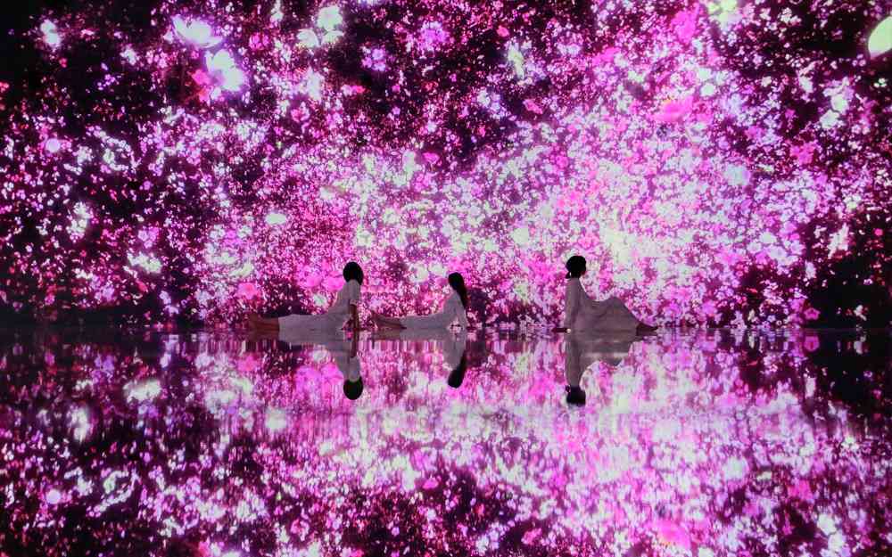 Hướng dẫn chi tiết cách tham quan teamLab Planets ở Tokyo cho du khách 2026 22 Lịch trình tham quan teamLab Planets chi tiết