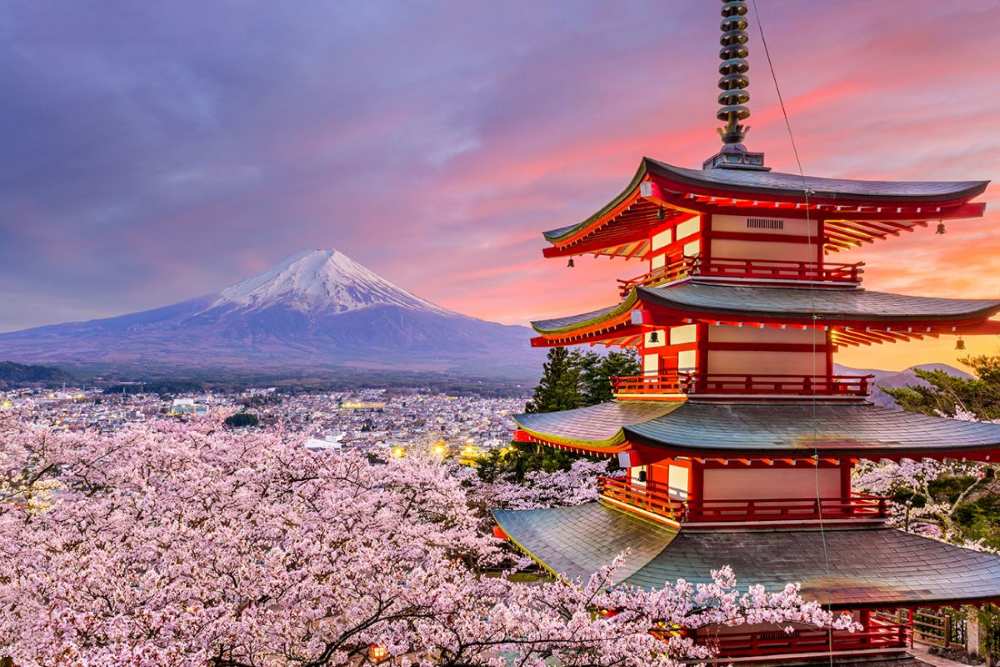 Du lịch Nhật Bản mùa hoa anh đào: Kinh nghiệm đi đúng thời điểm để thấy sakura đẹp nhất 5 Du lịch Nhật Bản mùa hoa anh đào là đi vào thời gian nào?