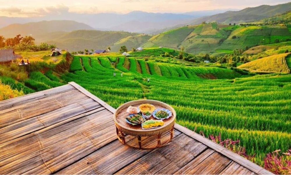 Ban Pa Pong Piang có gì? Điểm đến không thể bỏ lỡ khi du lịch Chiang Mai 6 Phù hợp để thư giãn