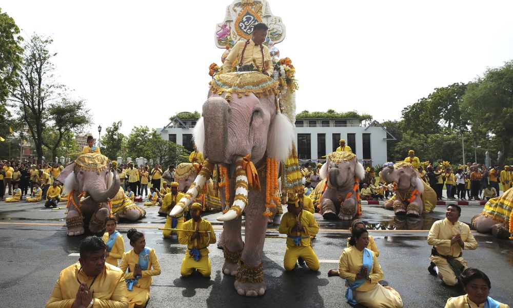 Vì sao voi lại được xem là quốc bảo của Thái Lan? 8 Quốc bảo của Thái Lan