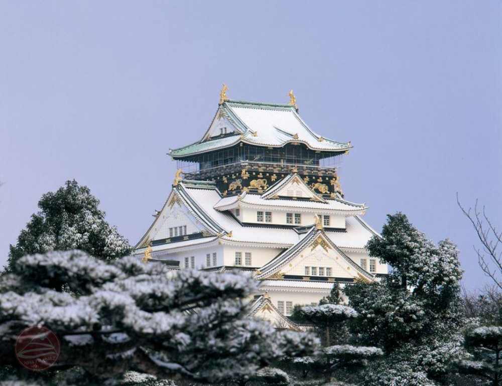 Sân bay Narita và Haneda (Tokyo)