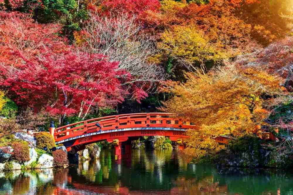 Săn lá đỏ tháng 10: hiểu đúng để không đi “lệch mùa”