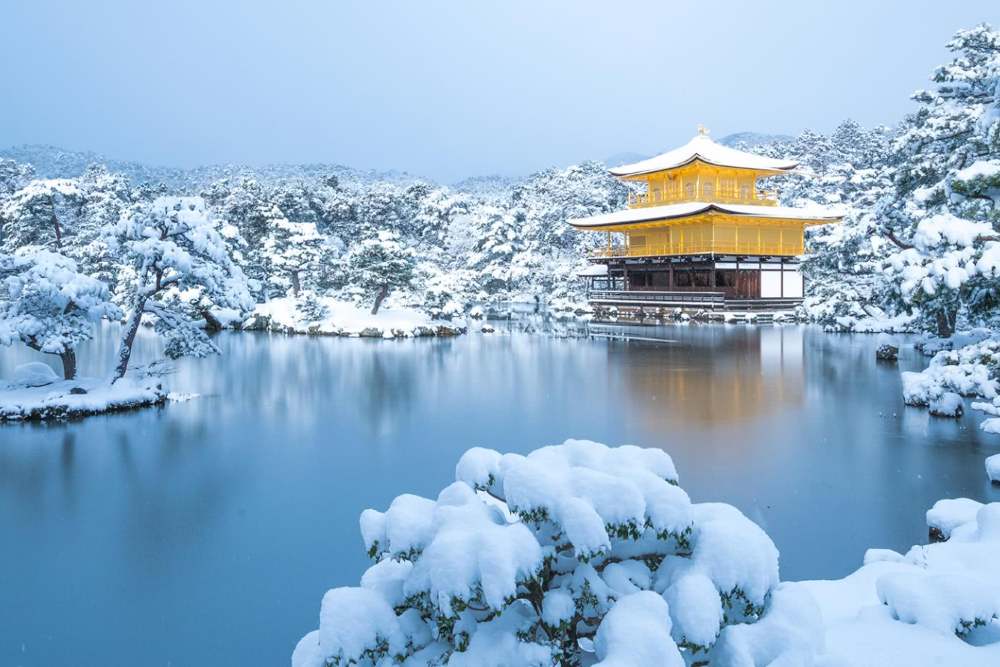 So sánh giá vé trên nhiều nền tảng trước khi quyết định