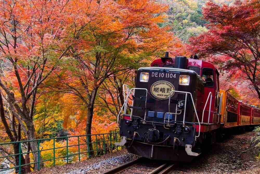 Rừng trúc Arashiyama ở Kyoto: Kinh nghiệm đi thực tế, thời điểm đẹp và lịch trình dễ áp dụng 20 Tàu tham quan Sagano có đáng đi không?